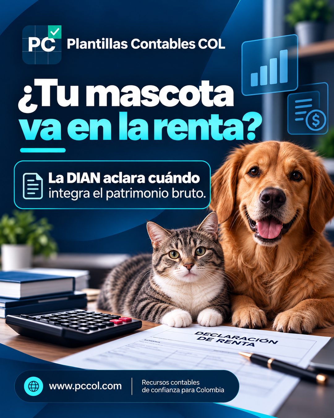 ¿Las mascotas cuentan en el patrimonio para renta? DIAN aclara su costo fiscal